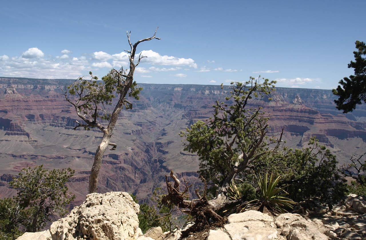Grand Canyon