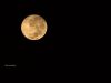 Full Moon by Arun Prabhu