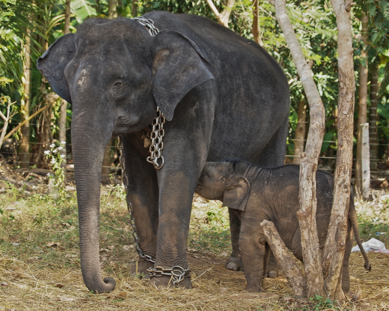 Mother and Child!
