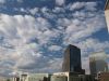 La Defence 2 by Alaa Elshaer
