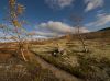 Pilgrim rout to Trondheim