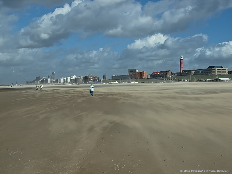 windy day at scheveningen beach