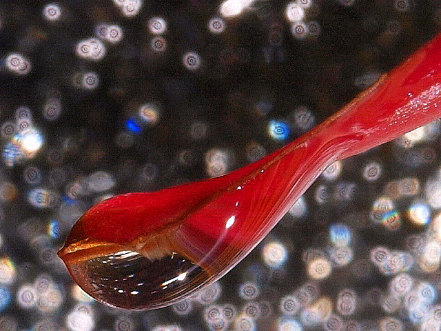 small