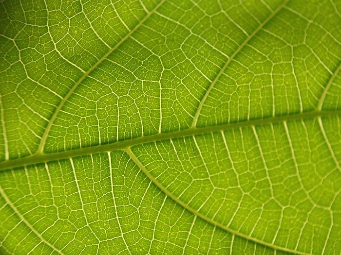 go green