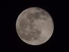 Moon by Mark Lester