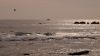 Laguna Beach Waves by Mark Lester