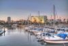 Looking North at Shoreline Village by Mark Lester