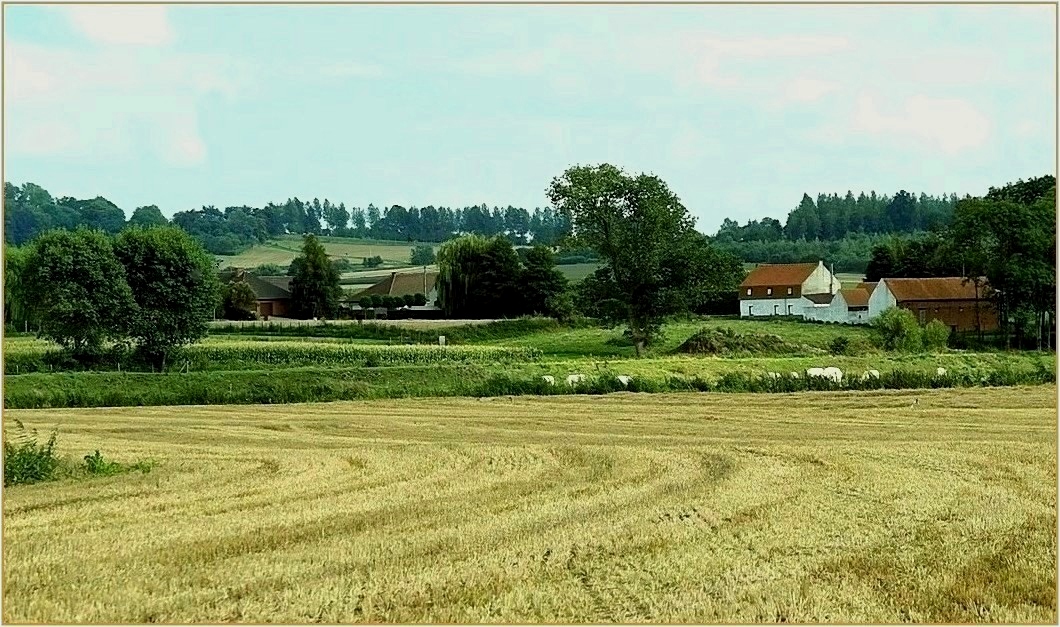 Little hidden hamlet