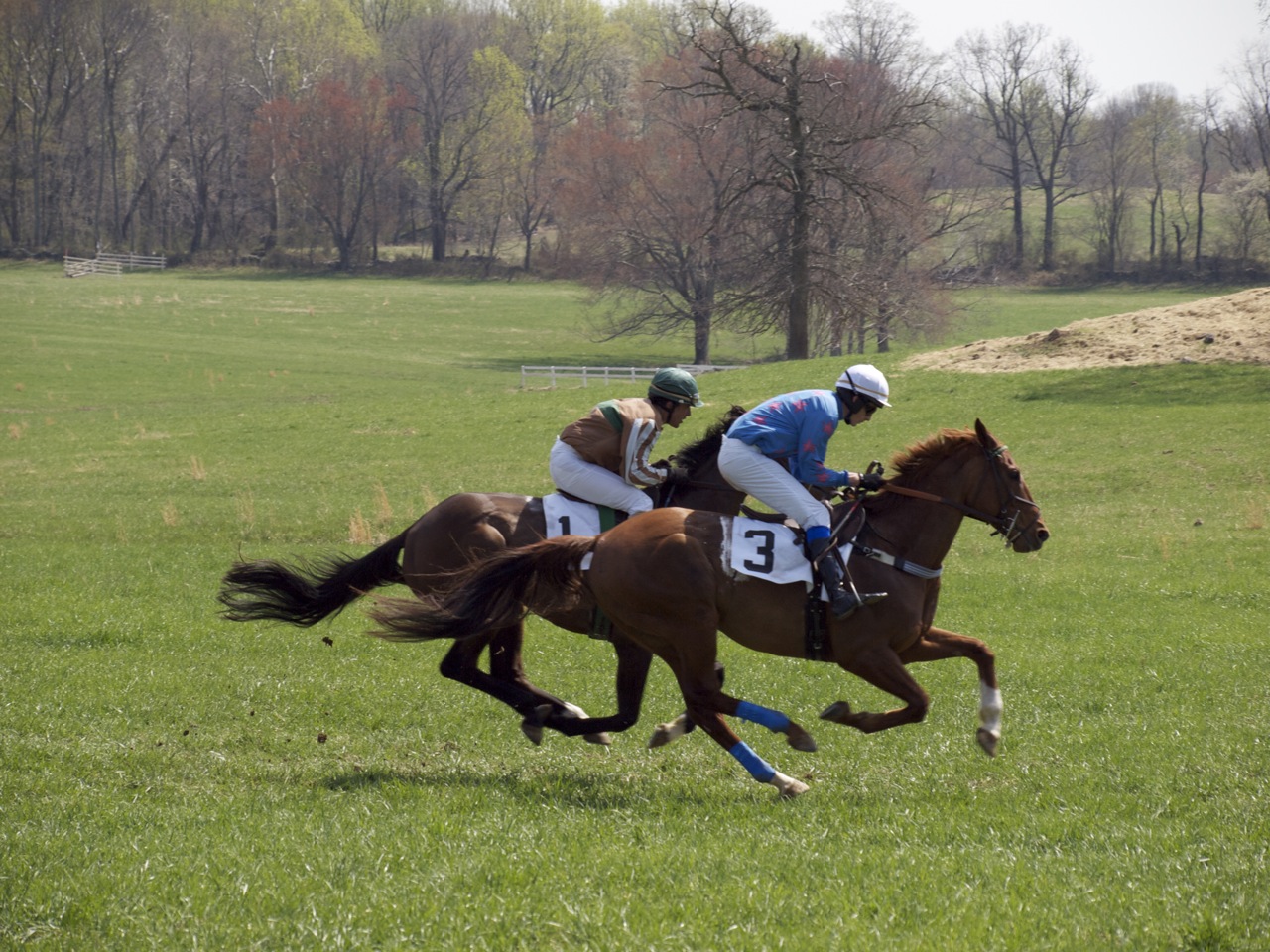 Old Dominion Hunt Point to Point