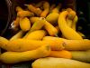 Yellow Squash by Neal Friedenthal