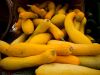 Yellow Squash