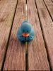 Blue Duckie by Neal Friedenthal
