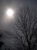 Winter sky