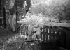 infrared test