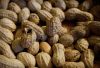 peanuts