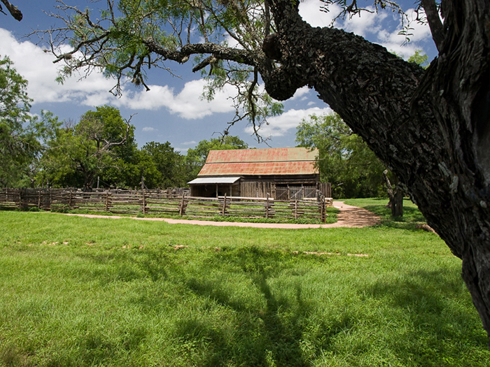 The Farm