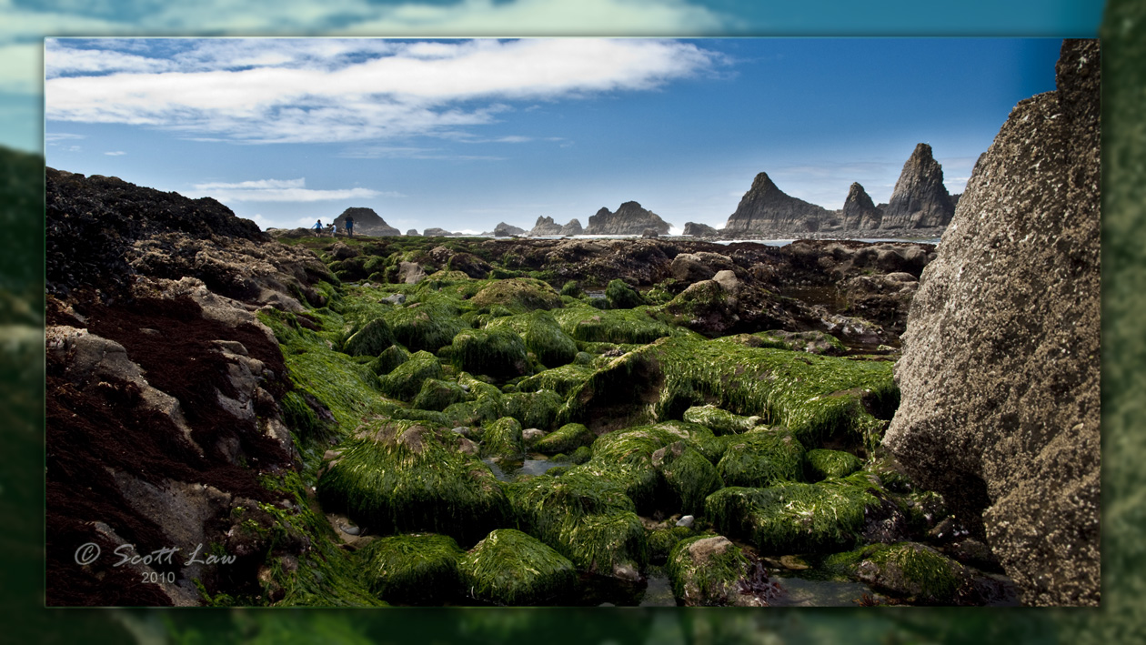Low Tide