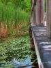 Under the Boardwalk by Darren Walker