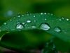 After the Rains