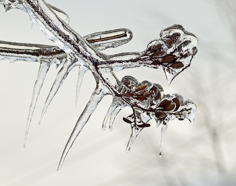 Ice Storm