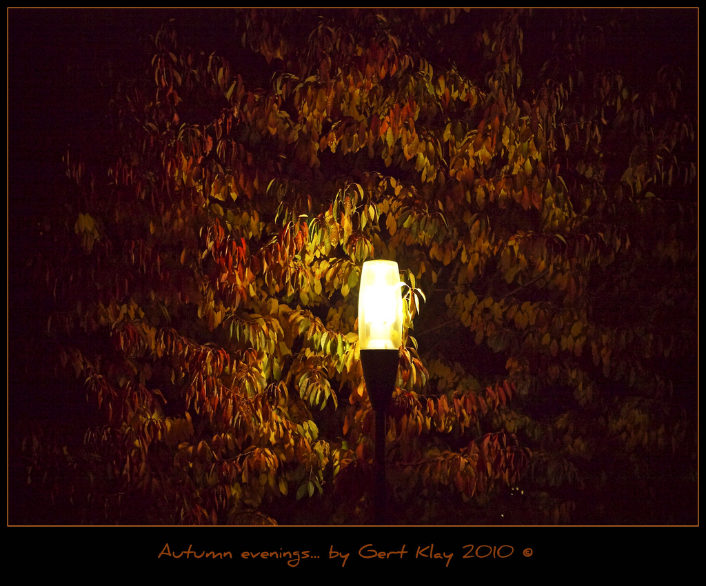 Autumn evenings...