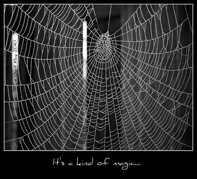 It's a kind of magic...