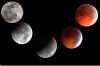 Lunar Eclipse December 21, 2010 by Joe Saladino