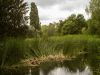 Landscape with ducks by Gennady Protsenko