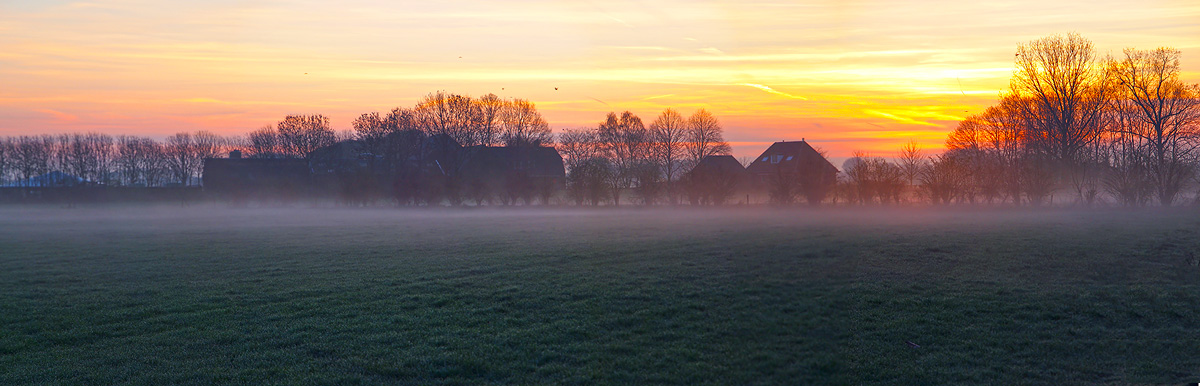 Dutch countryside