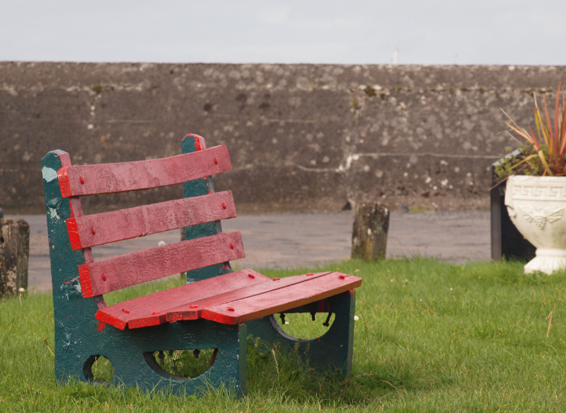 Rainy Day Bench