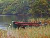 Boats on a Pond by paul missall