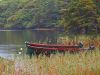 Boats on a Pond