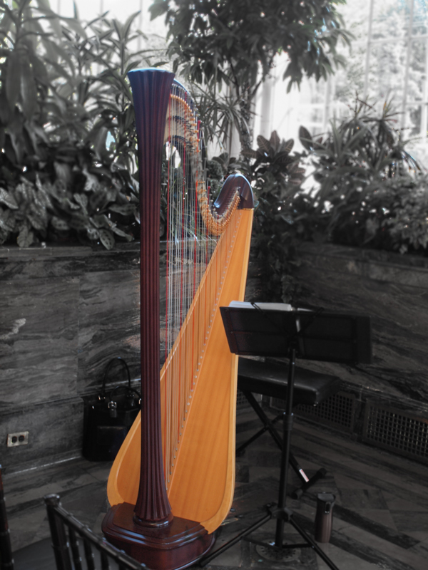 Harp