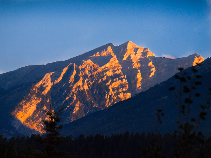 Morning Light