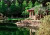 Cedar Lakes Gazebo by paul missall