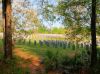 HDR --Fla National Cemetery by paul missall
