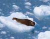 Hey....I was sleeping by paul missall