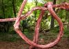 Root Knot by paul missall