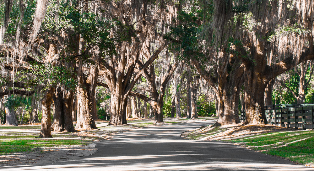 Pebble Hill Rd