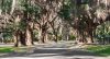 Pebble Hill Rd