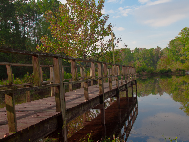 Pond Reflrctions