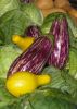 Veggies by paul missall