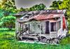 Shack on 121 by paul missall