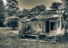 Shack on 123 BW by paul missall
