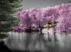 Lake House by paul missall