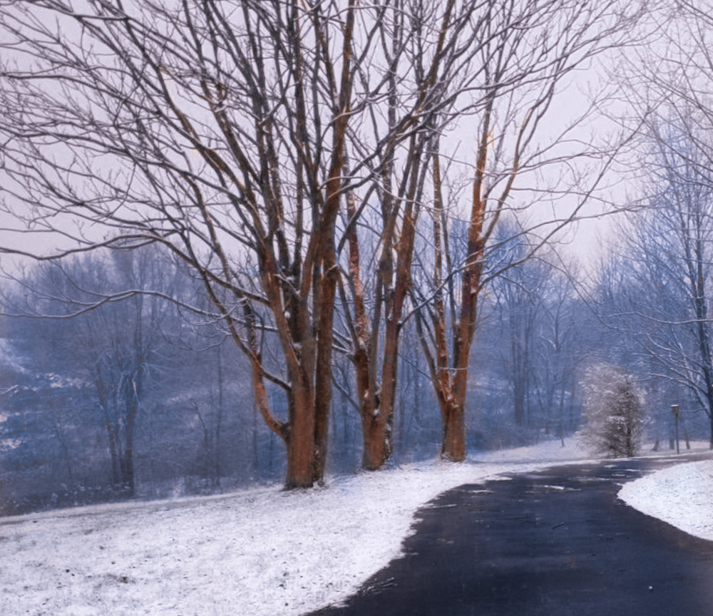 first Snow