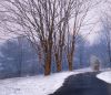first Snow