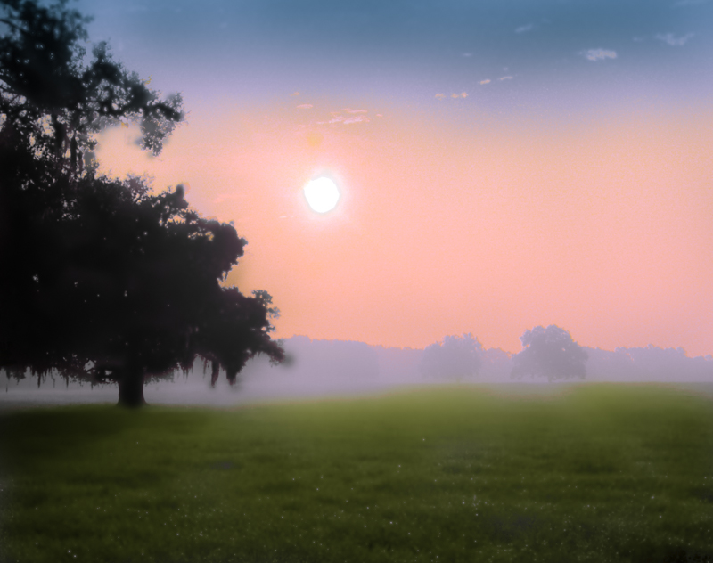 Sunrise on a Pasture
