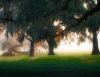 Sinrise on a Pasture-2 by paul missall