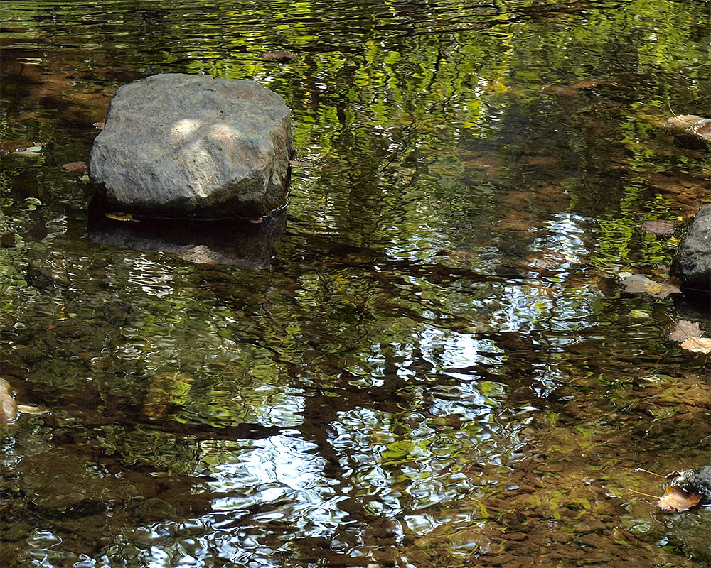 Rock in Water